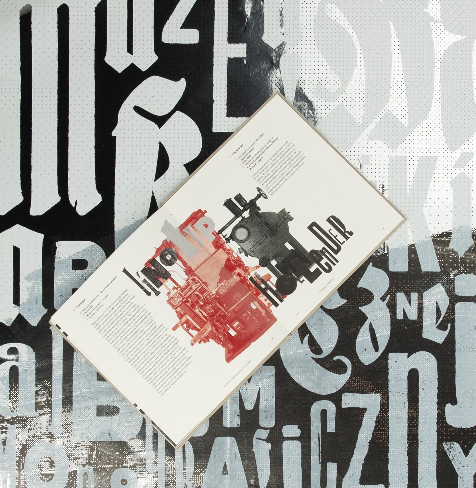 Projekt 1 - Zdjęcie 13