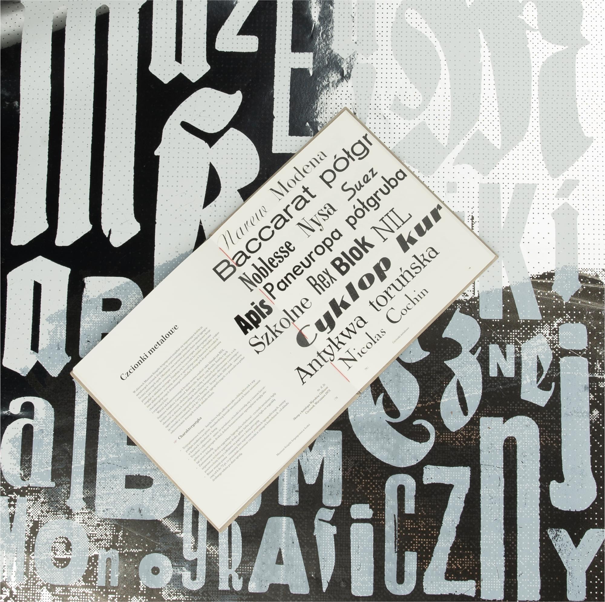 Projekt 1 - Zdjęcie 5