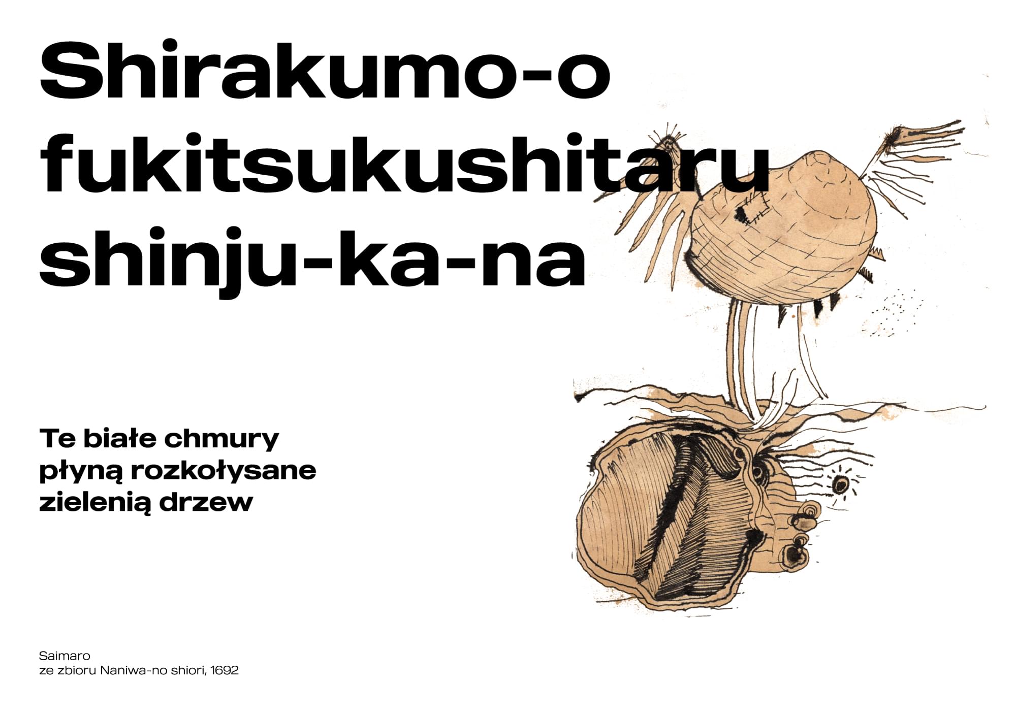 Projekt 11 - Zdjęcie 7