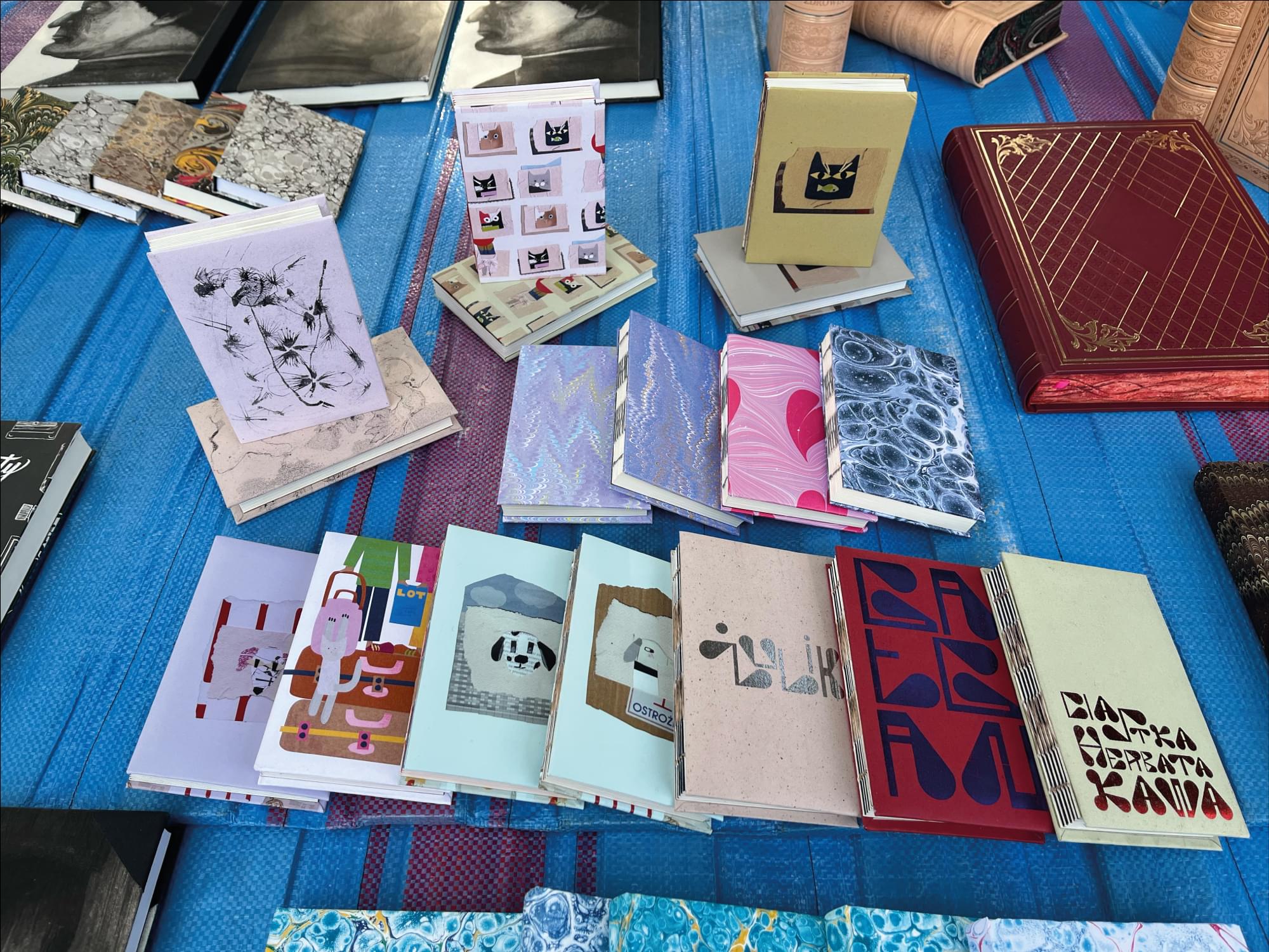 Projekt 7 - Zdjęcie 5